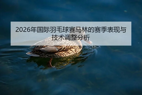 2026年国际羽毛球赛马林的赛季表现与技术调整分析