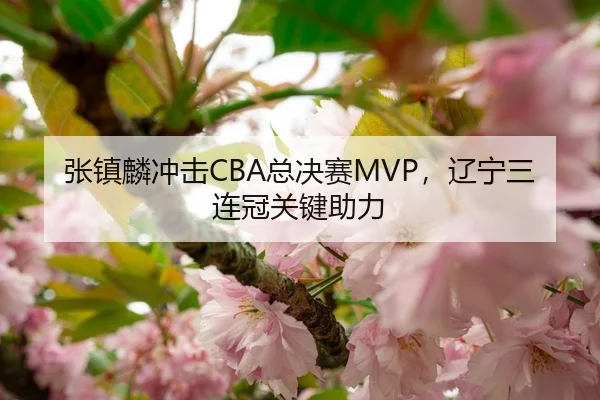张镇麟冲击CBA总决赛MVP，辽宁三连冠关键助力