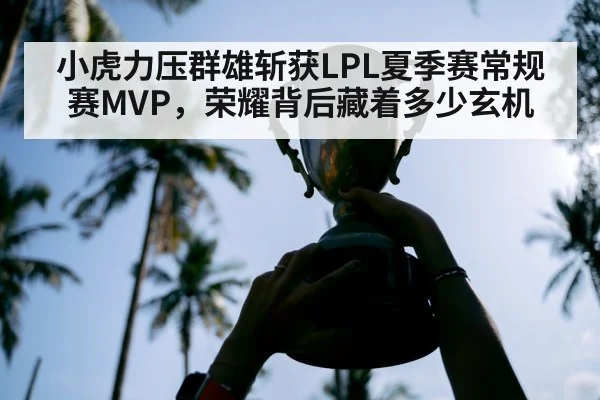小虎力压群雄斩获LPL夏季赛常规赛MVP，荣耀背后藏着多少玄机